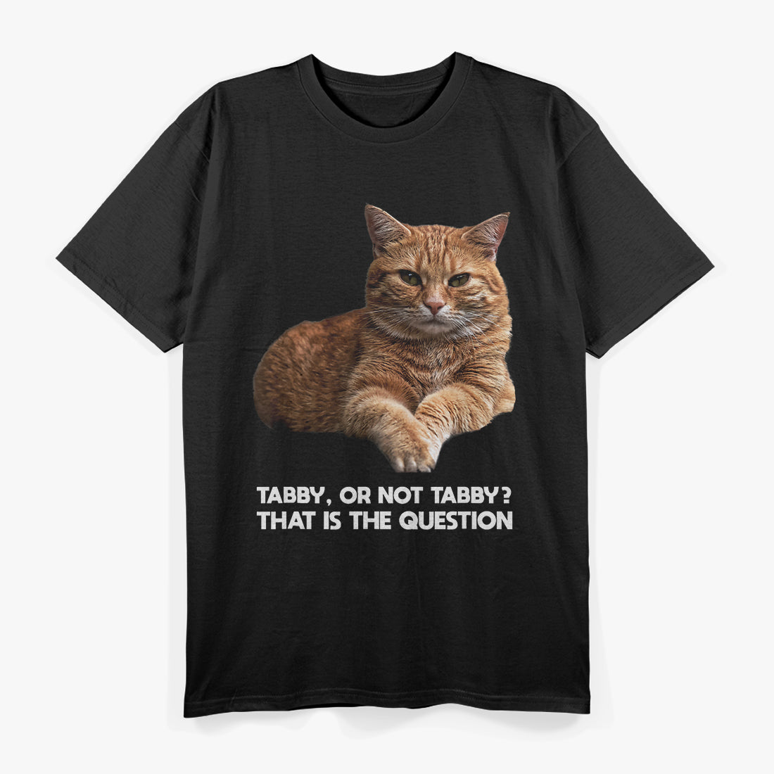 Orange Tabby Cat Funny Meme Animal Lovers T-Shirt