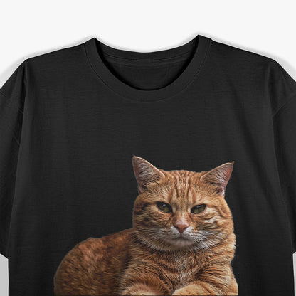 Orange Tabby Cat Funny Meme Animal Lovers T-Shirt