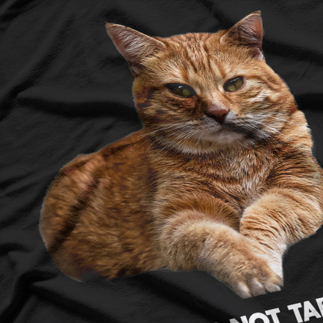 Orange Tabby Cat Funny Meme Animal Lovers T-Shirt