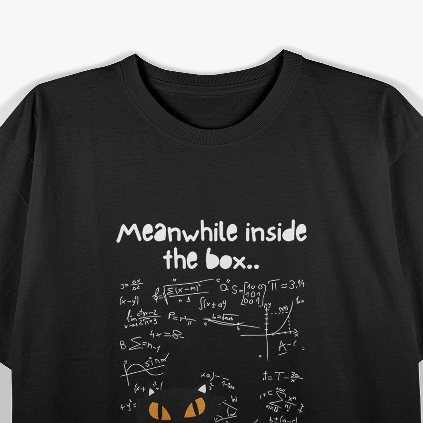 Meanwhile Inside The Box Schrodinger's Cat Plans Its Revenge T-Shirt