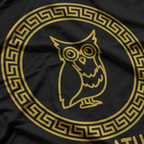 Ancient Greek Goddess Of Owl Wisdom and Protector T-Shirt