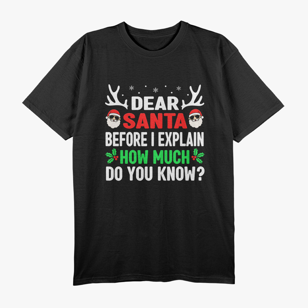 Dear Santa, I Can Explain - Funny Christmas T-Shirt