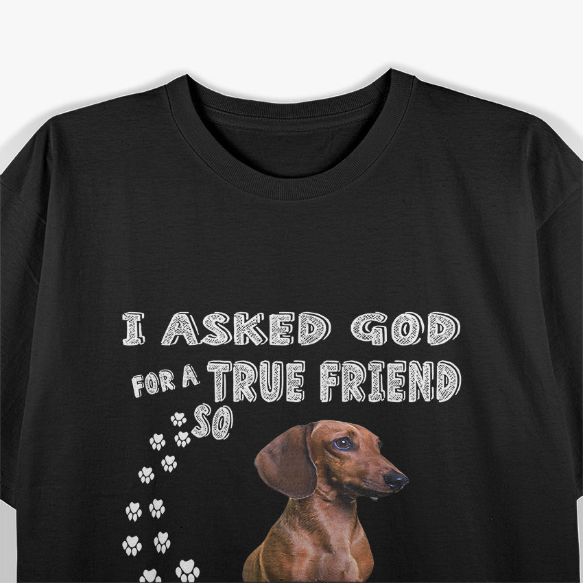 Dachshund Dog Doxie Girl Perfect Gift for Dachshund Lovers T-Shirt