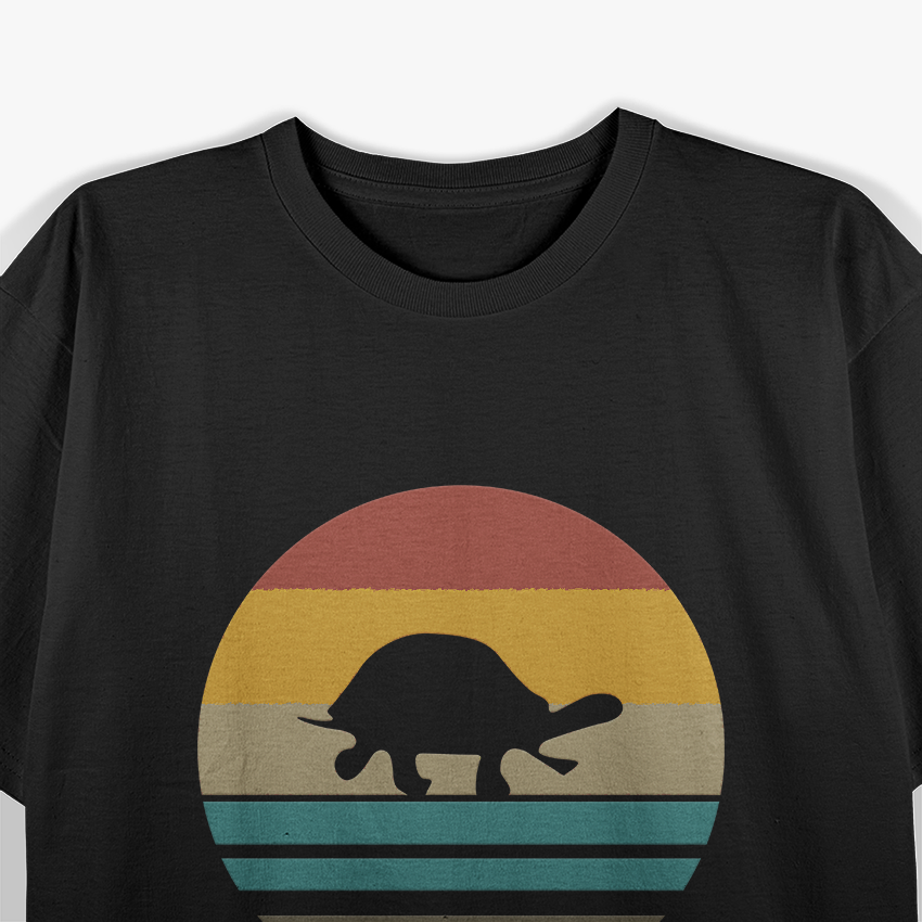 Retro Vintage Turtle Slow and Steady T-Shirt