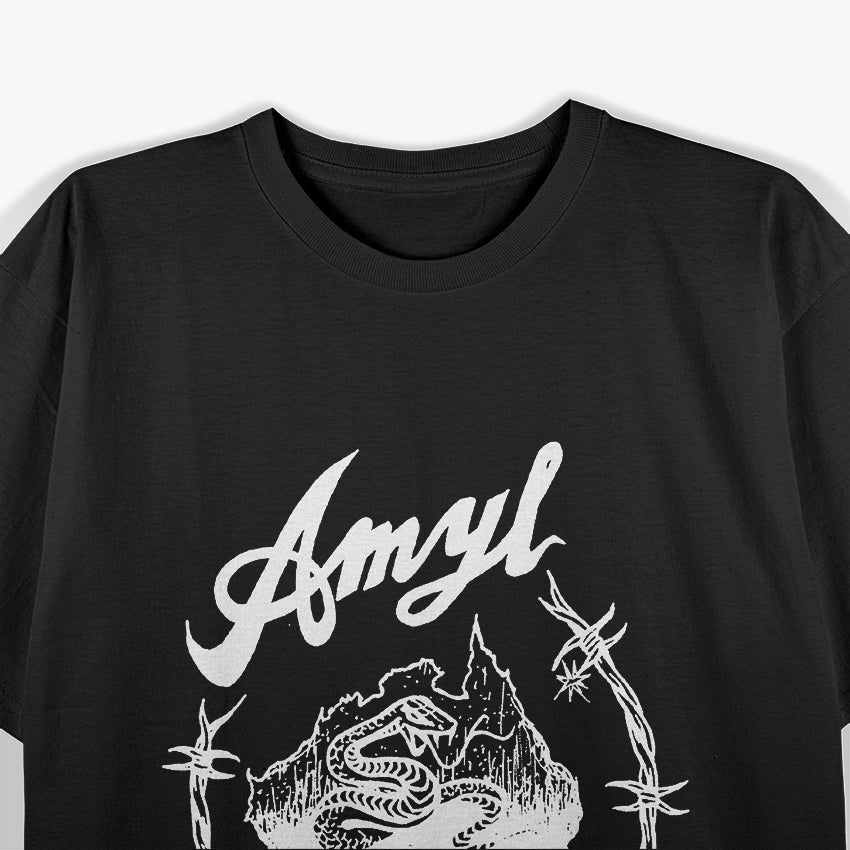 Amyl and the Sniffers Vintage Band Music Graphic RZ T-Shirt