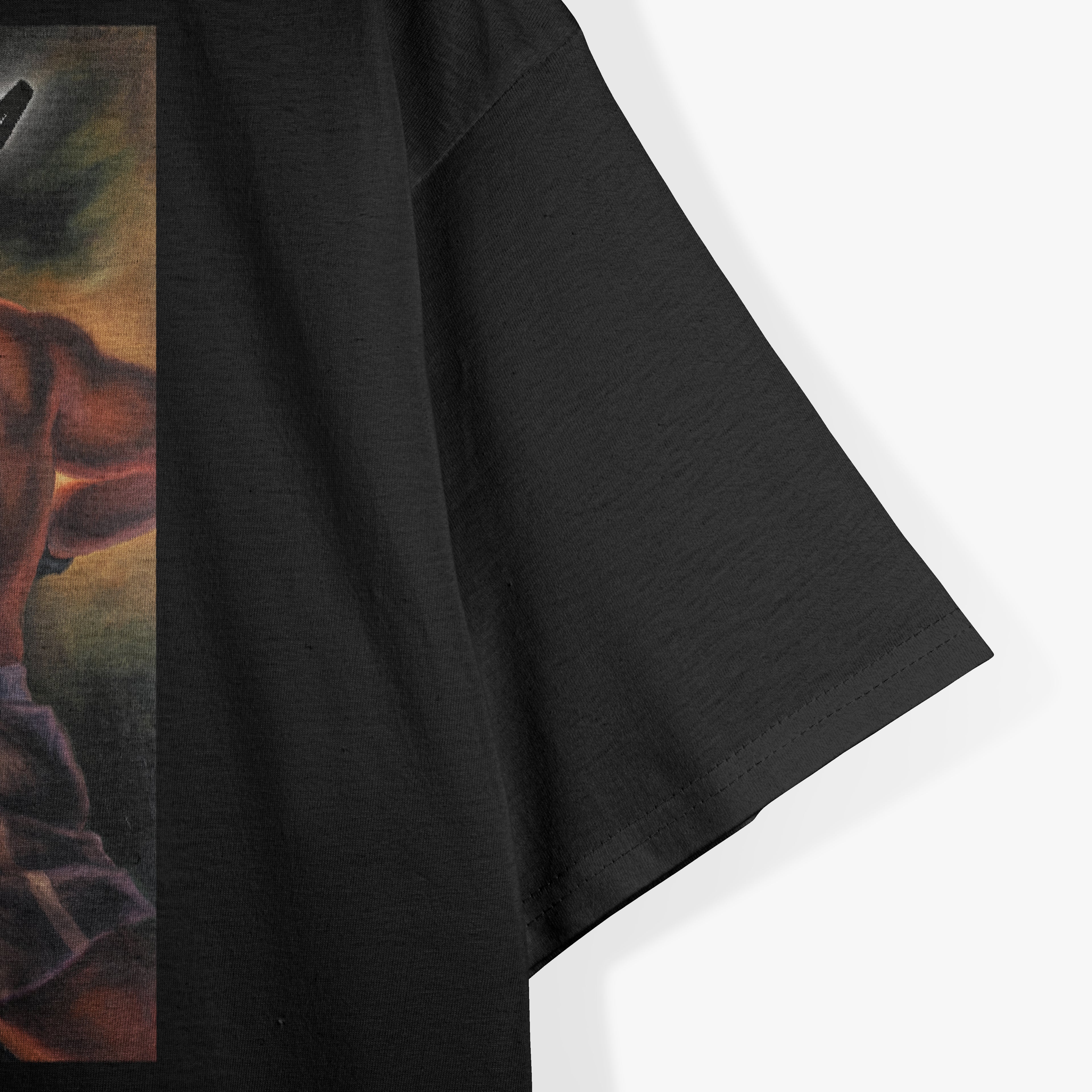 Aimee Mann Vintage Music Album The Forgotten Arm RZ T-Shirt