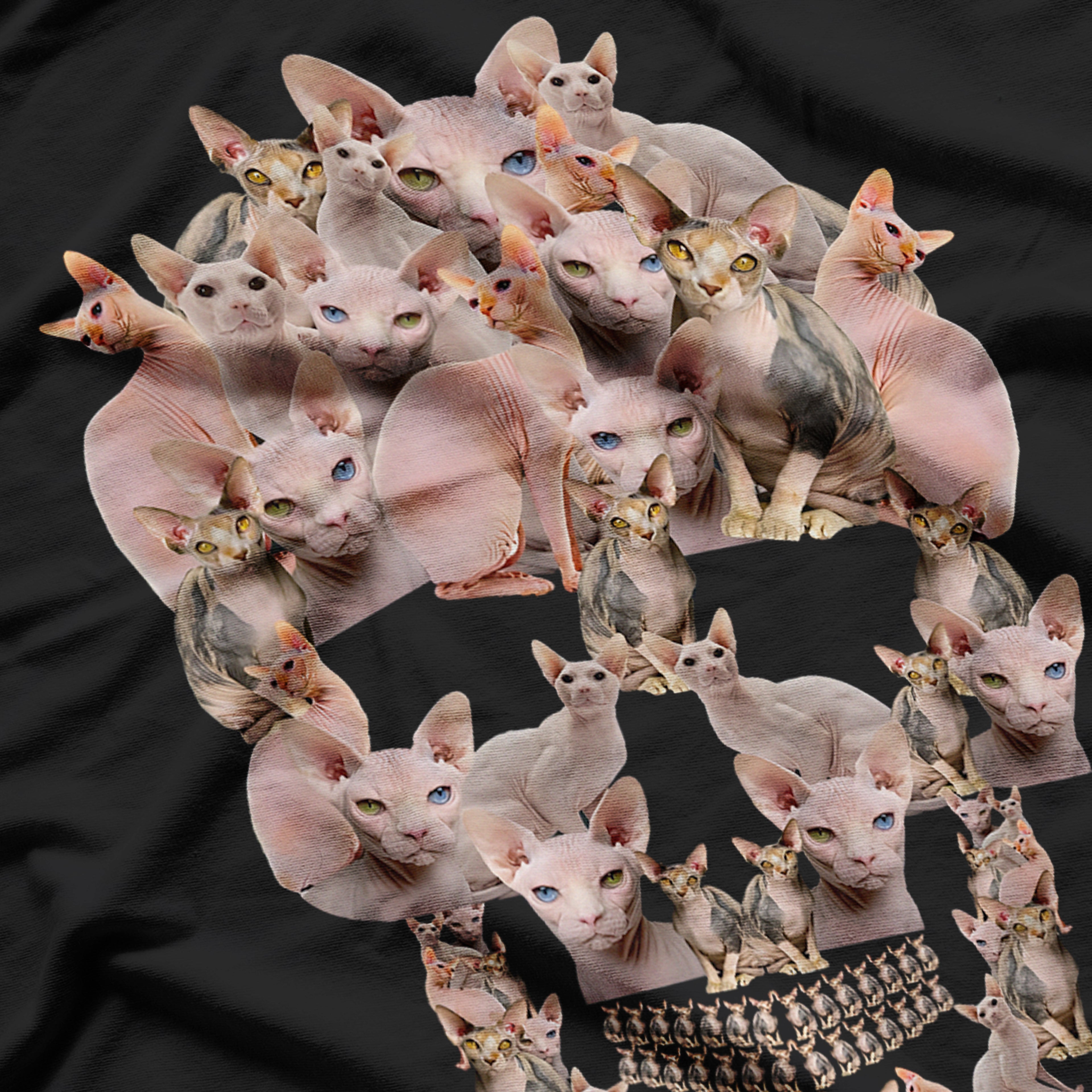 Sphynx Cat Graphic Skull T-Shirt