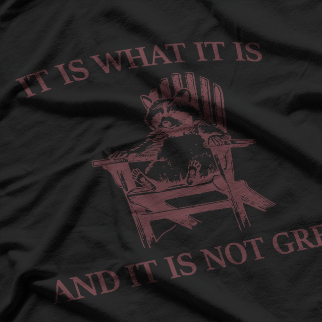 Raccoon Humor It Is What It Is And It’s Not Great Funny T-Shirt