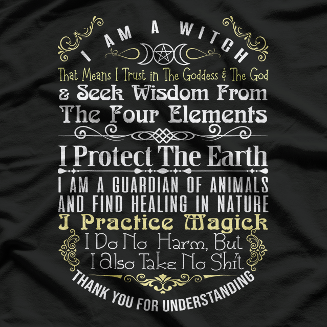 Halloween Witch – I Am A Witch Funny Statement T-Shirt