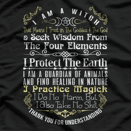 Halloween Witch – I Am A Witch Funny Statement T-Shirt