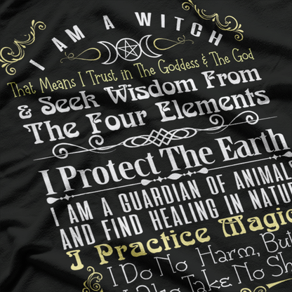 Halloween Witch – I Am A Witch Funny Statement T-Shirt
